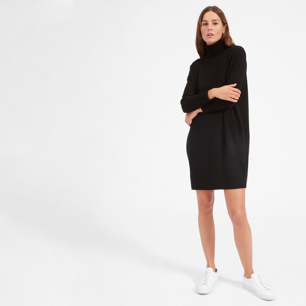 Everlane The Cashmere Turtleneck Mini Dress
